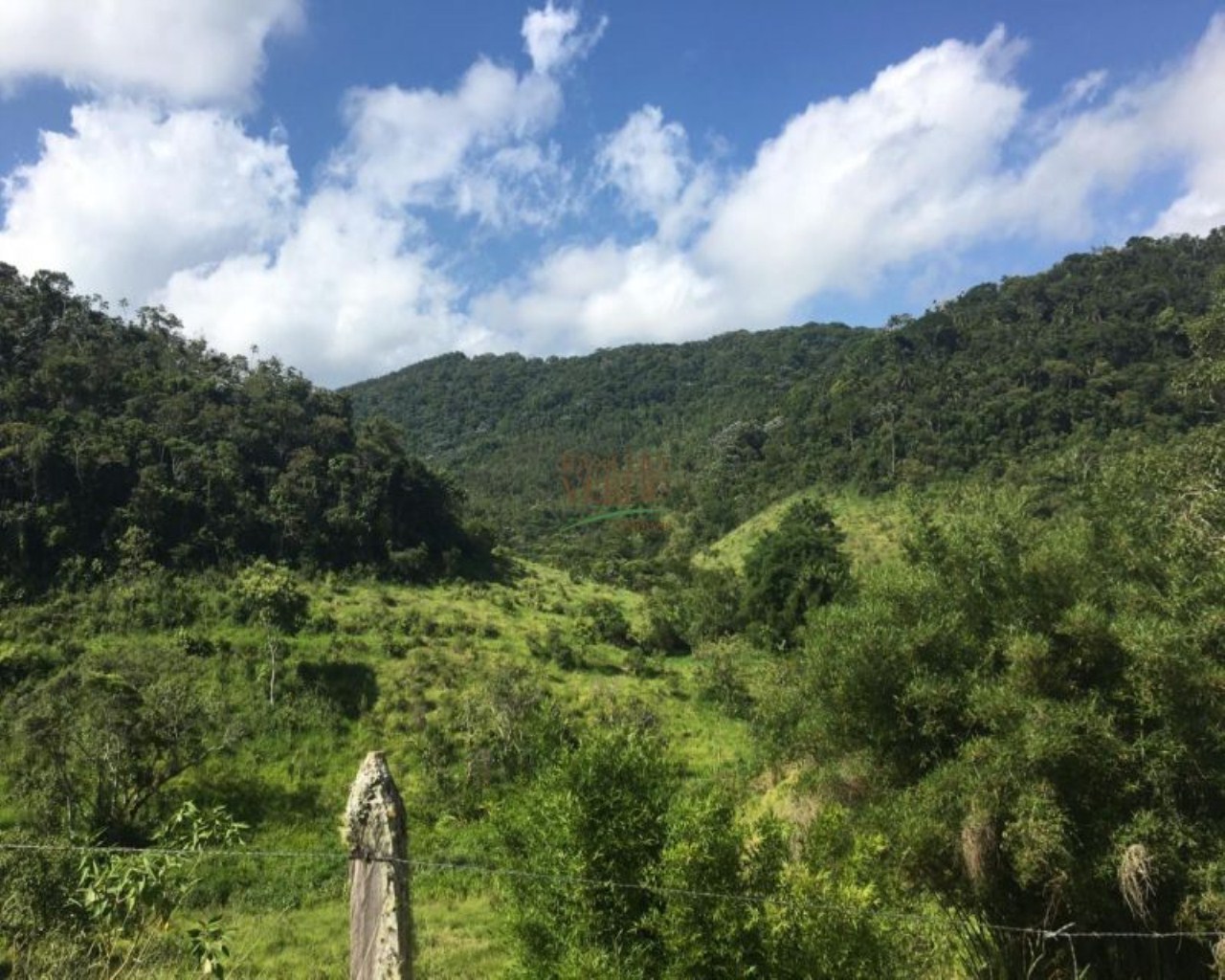 Fazenda de 242 ha em São Luiz do Paraitinga, SP