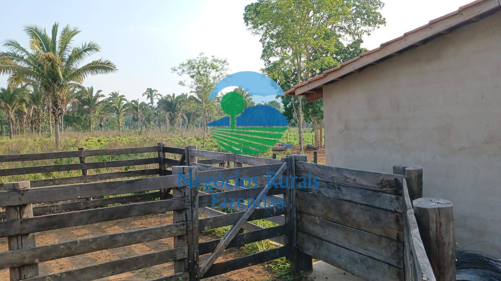 Fazenda de 890 ha em Minaçu, GO