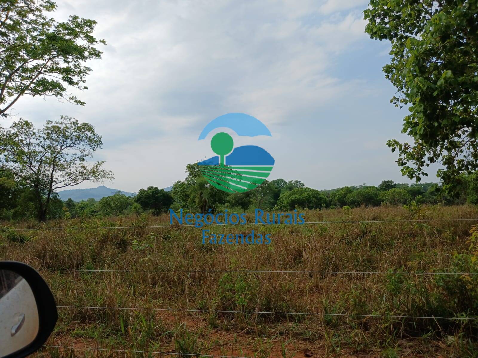 Fazenda de 890 ha em Minaçu, GO