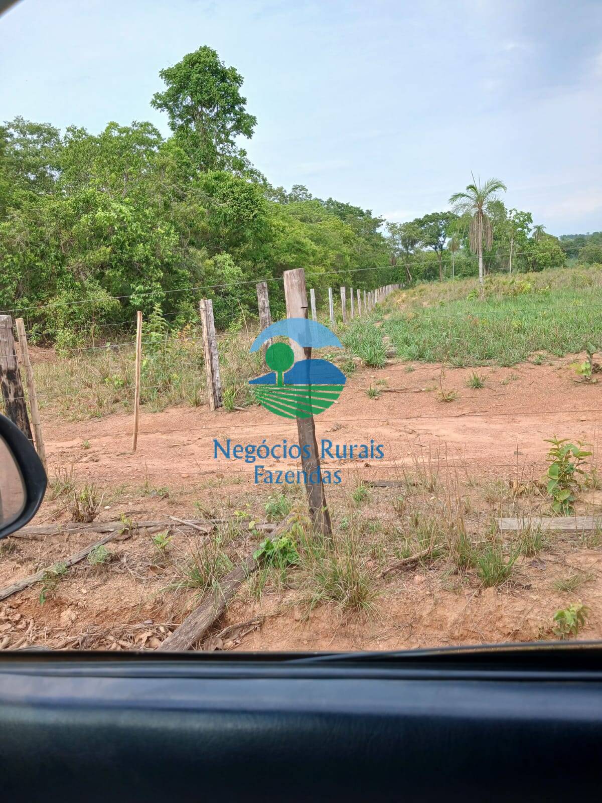 Fazenda de 890 ha em Minaçu, GO