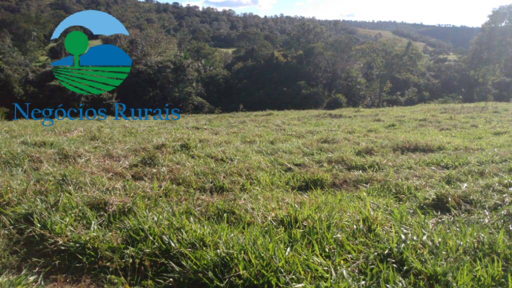 Fazenda de 1.301 ha em Uruaçu, GO