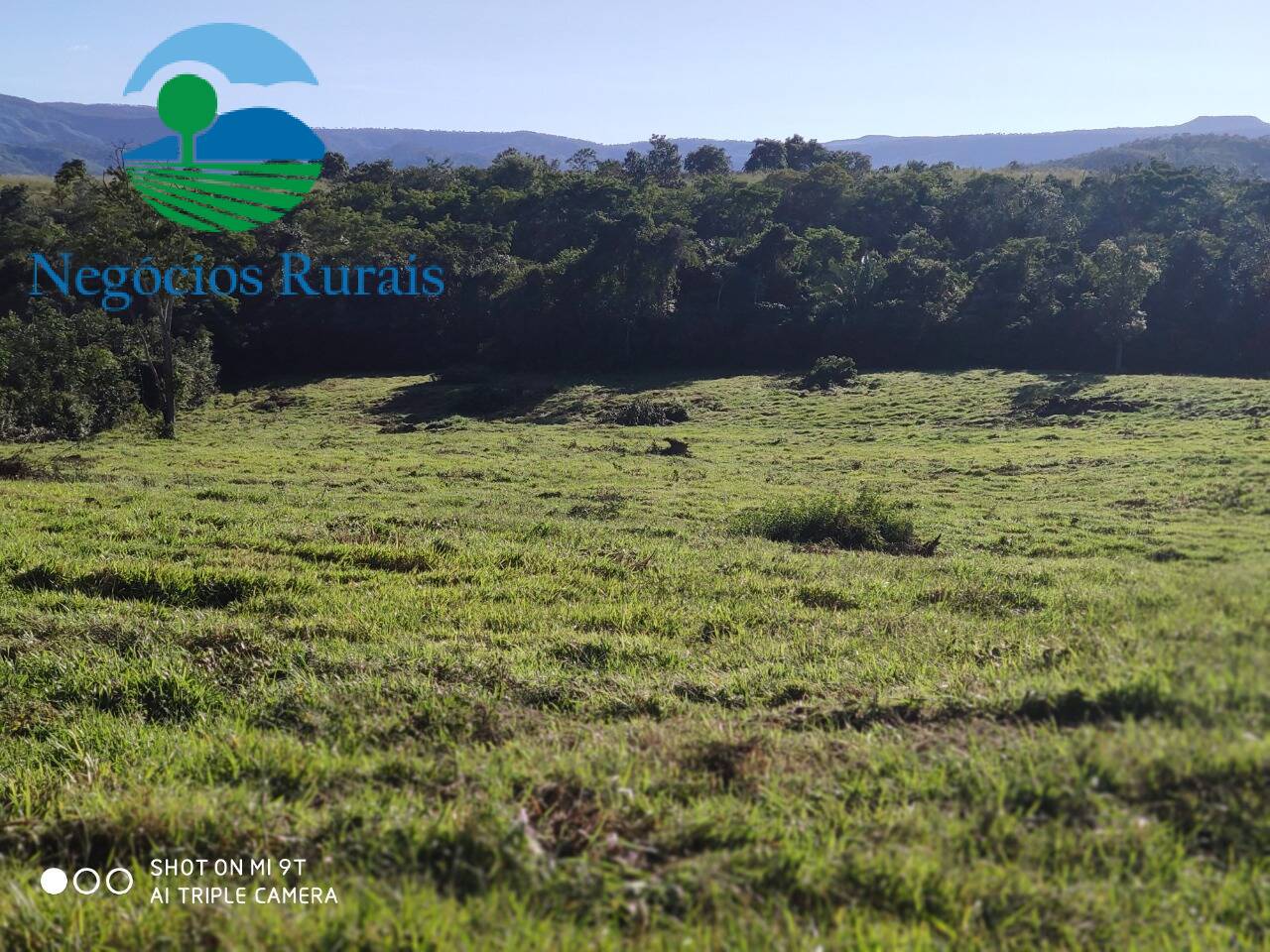 Fazenda de 1.301 ha em Uruaçu, GO