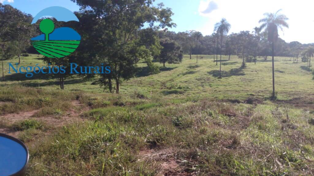 Fazenda de 1.301 ha em Uruaçu, GO