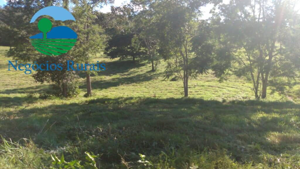 Fazenda de 1.301 ha em Uruaçu, GO