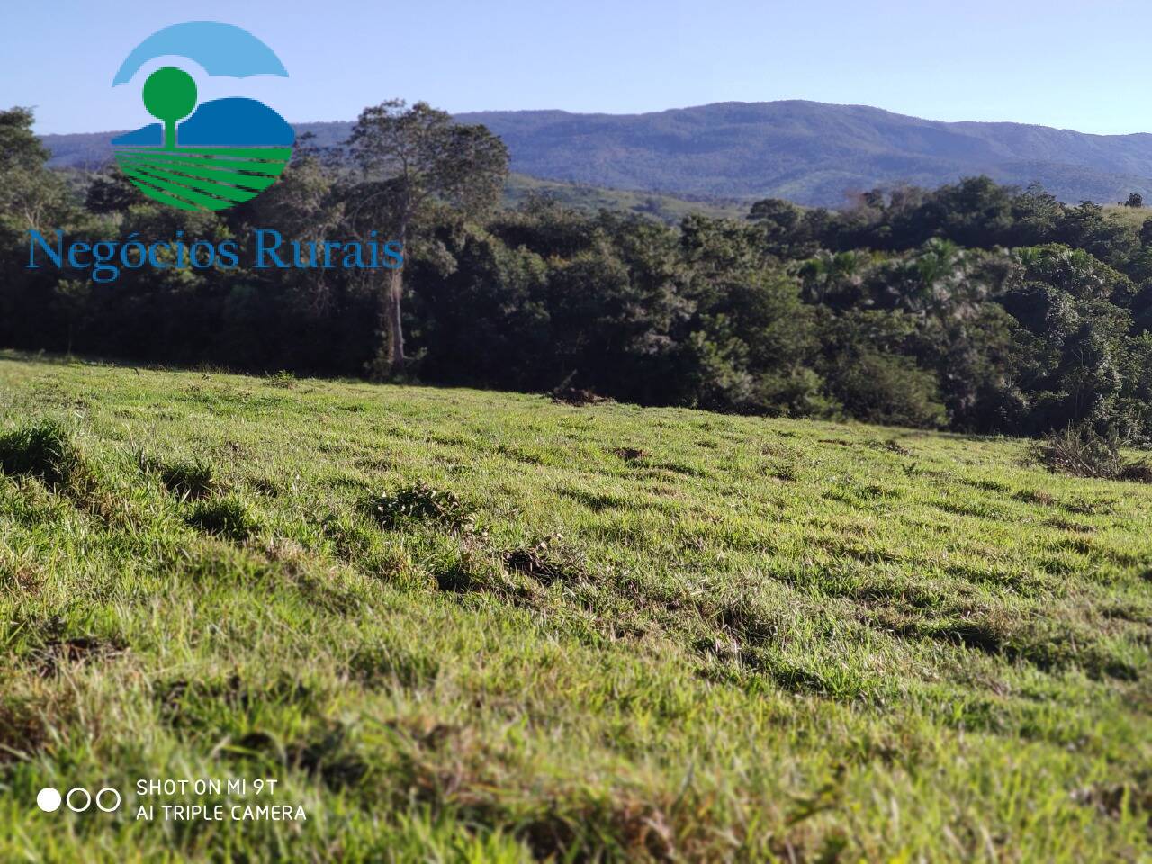 Fazenda de 1.301 ha em Uruaçu, GO