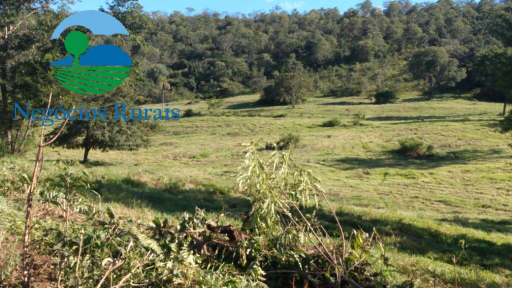 Fazenda de 1.301 ha em Uruaçu, GO