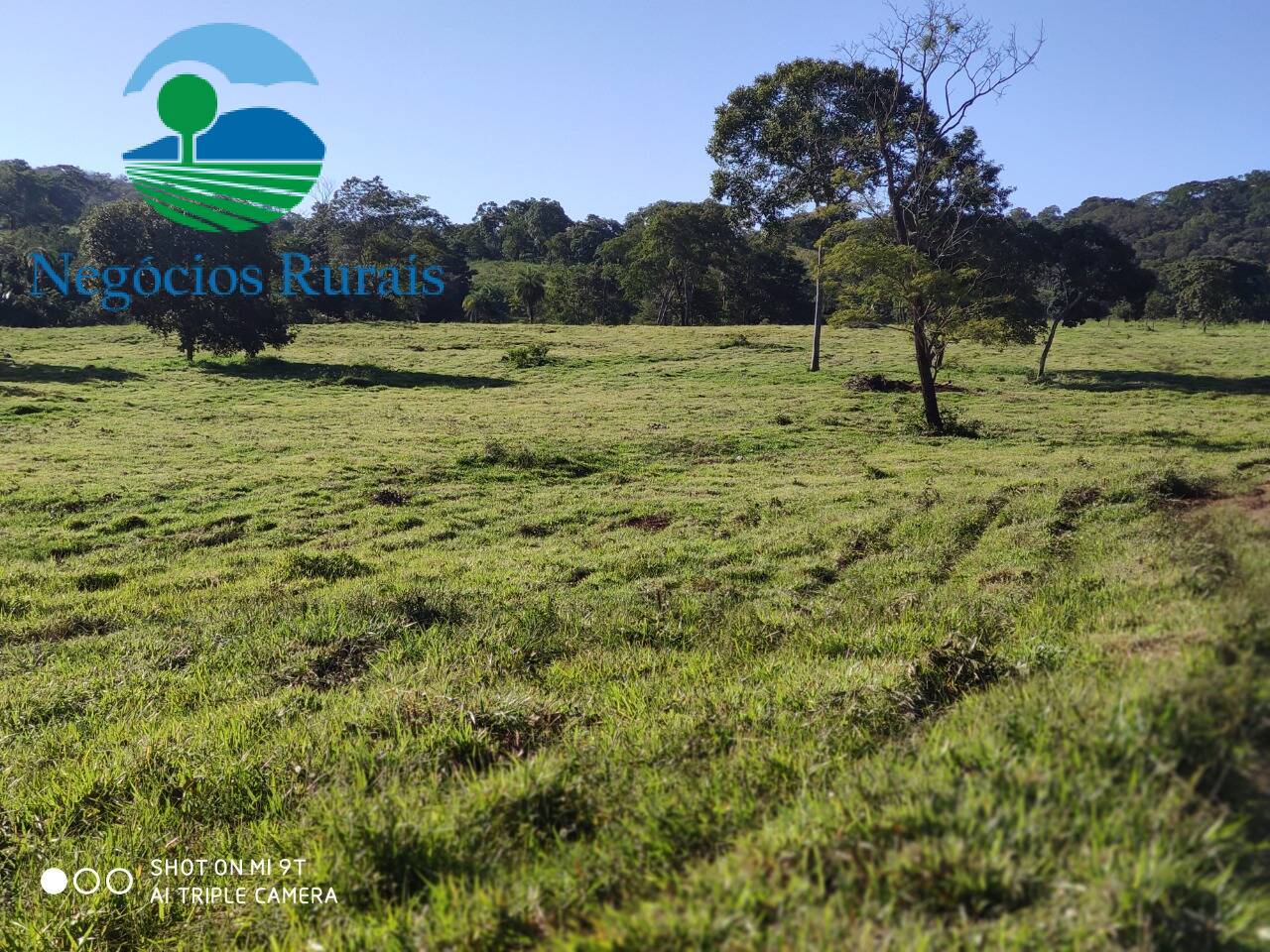 Fazenda de 1.301 ha em Uruaçu, GO