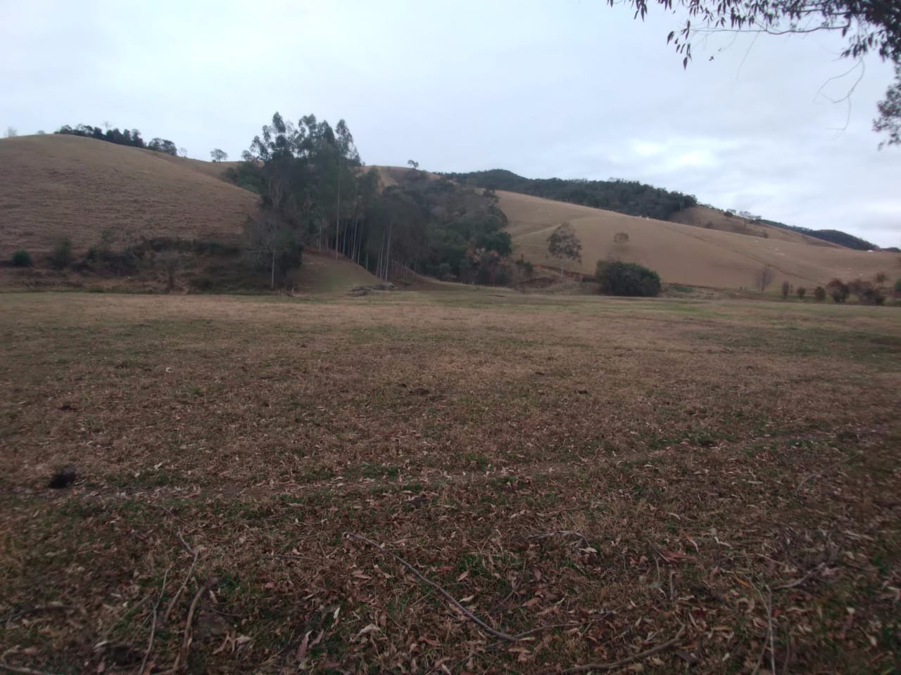 Sítio de 15 ha em Cunha, SP