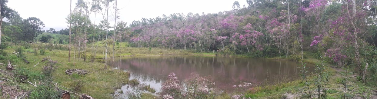 Sítio de 36 ha em São Luiz do Paraitinga, SP