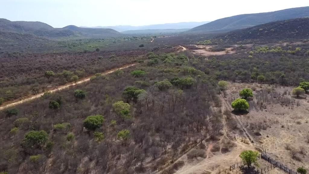 Fazenda de 536 ha em Ibotirama, BA