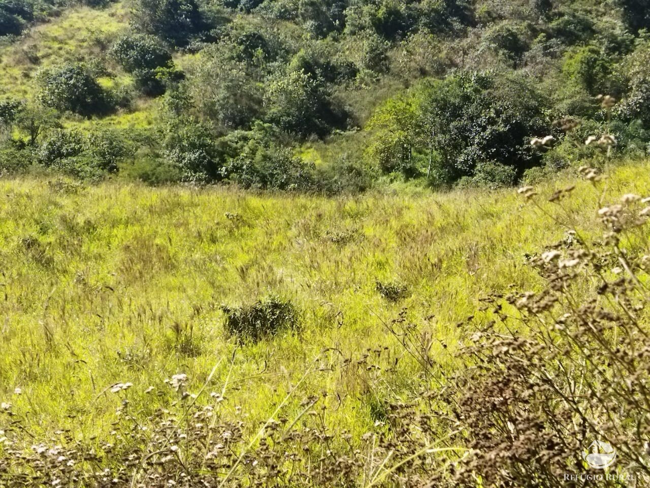 Terreno de 5 ha em São José dos Campos, SP