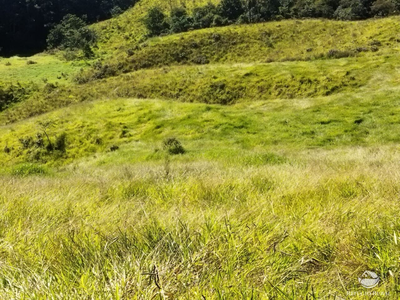 Terreno de 5 ha em São José dos Campos, SP