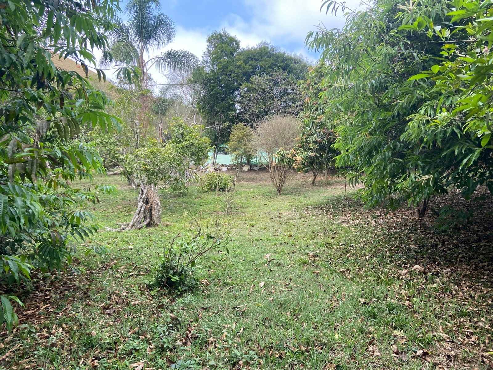 Sítio de 6 ha em São José dos Campos, SP