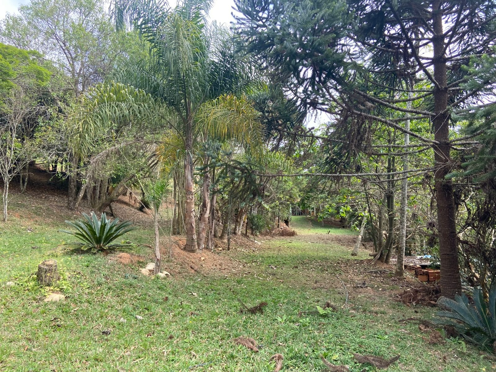 Sítio de 6 ha em São José dos Campos, SP