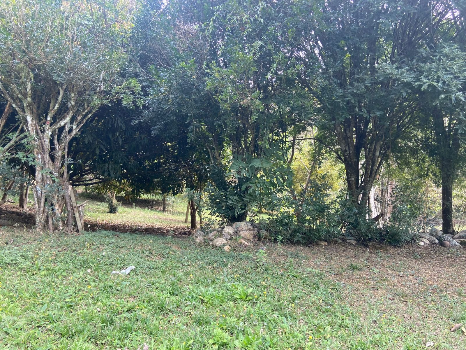 Sítio de 6 ha em São José dos Campos, SP