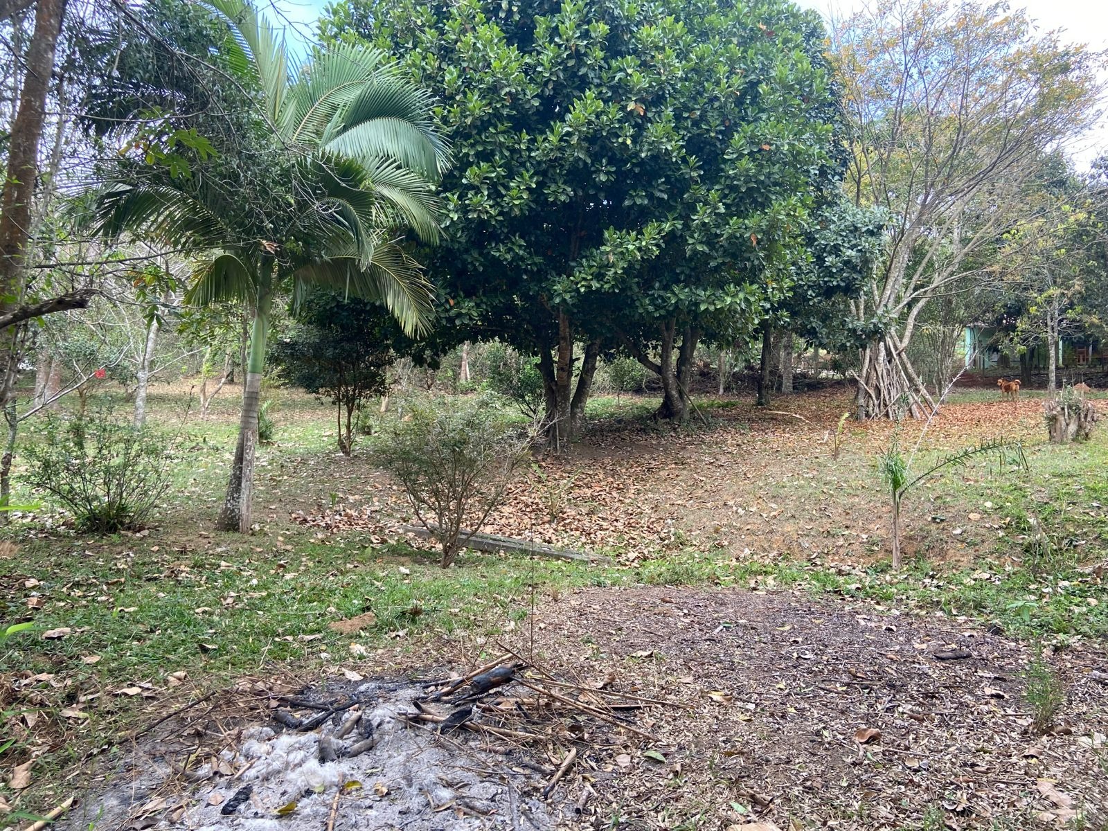 Sítio de 6 ha em São José dos Campos, SP