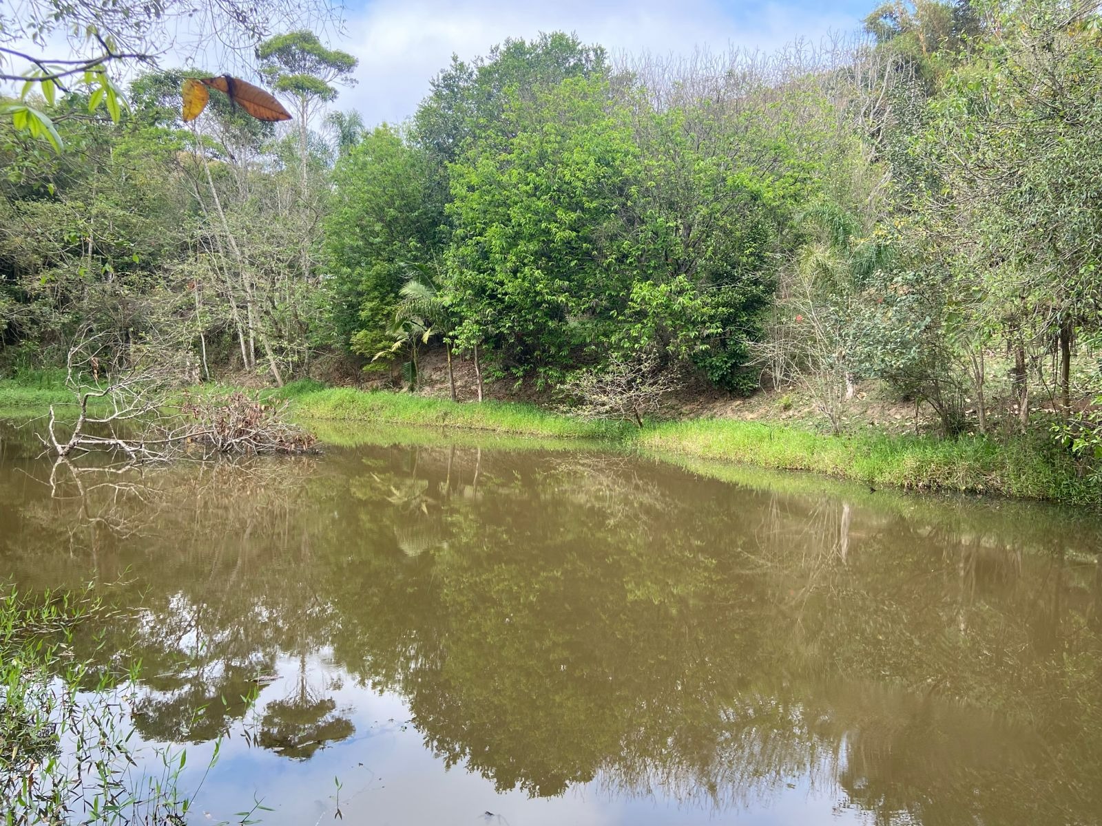 Sítio de 6 ha em São José dos Campos, SP