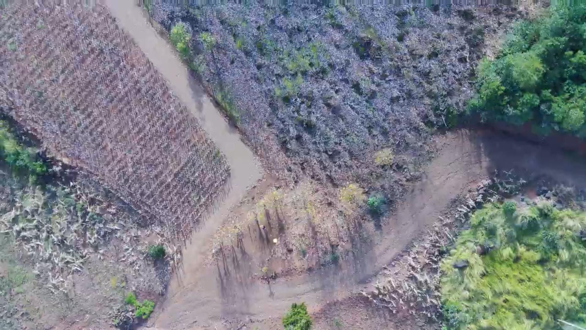 Chácara de 7 ha em Rolante, RS