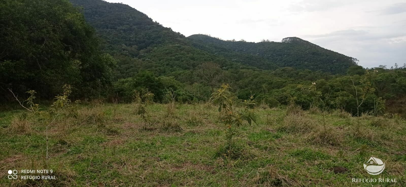 Sítio de 14 ha em Monteiro Lobato, SP