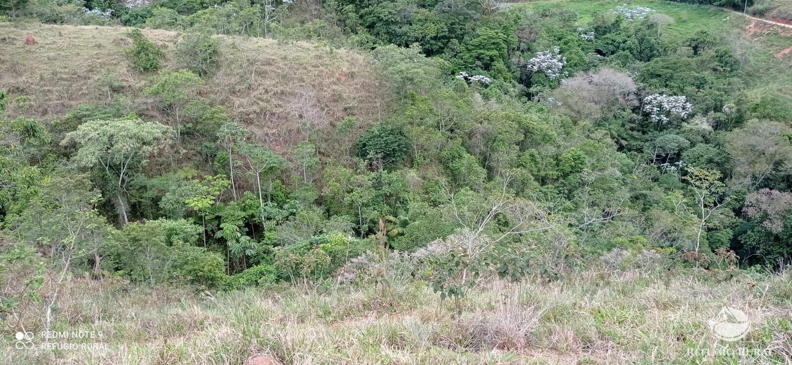 Sítio de 14 ha em Monteiro Lobato, SP