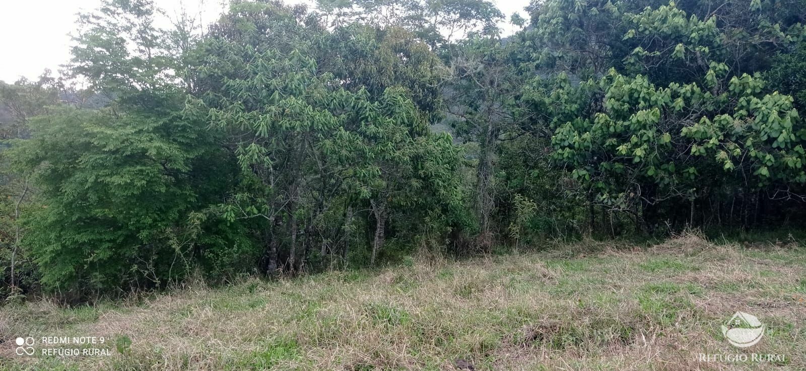 Sítio de 14 ha em Monteiro Lobato, SP