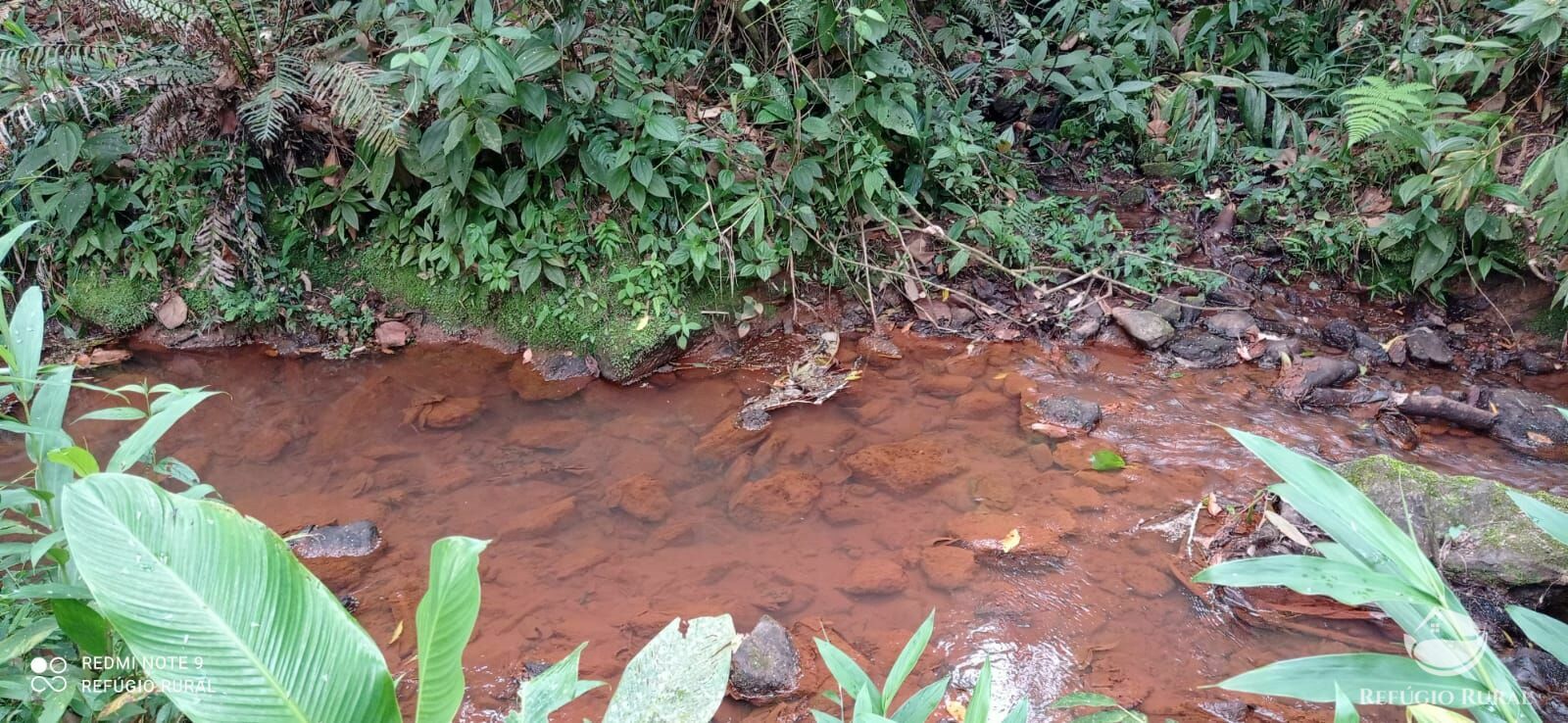 Sítio de 14 ha em Monteiro Lobato, SP