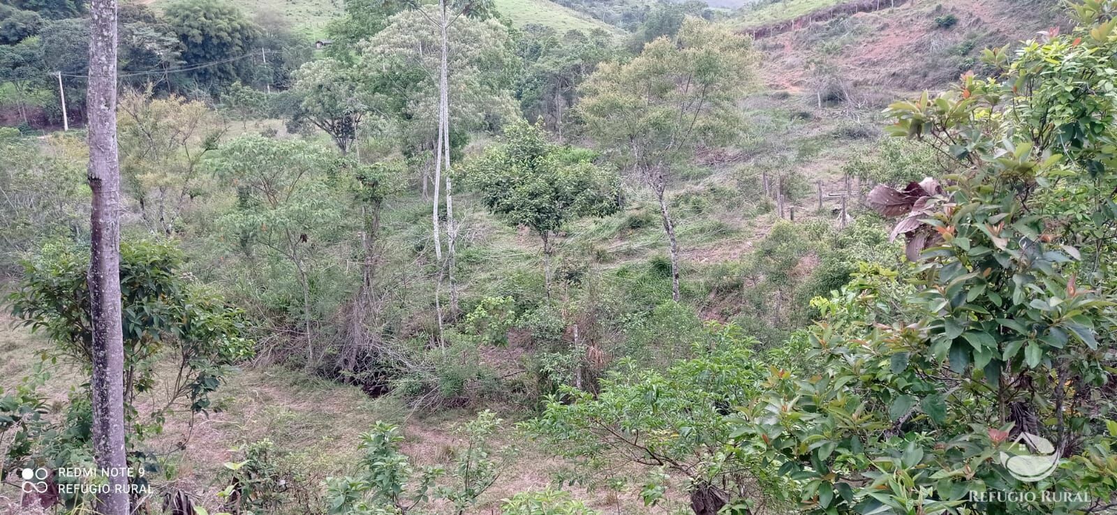 Sítio de 14 ha em Monteiro Lobato, SP