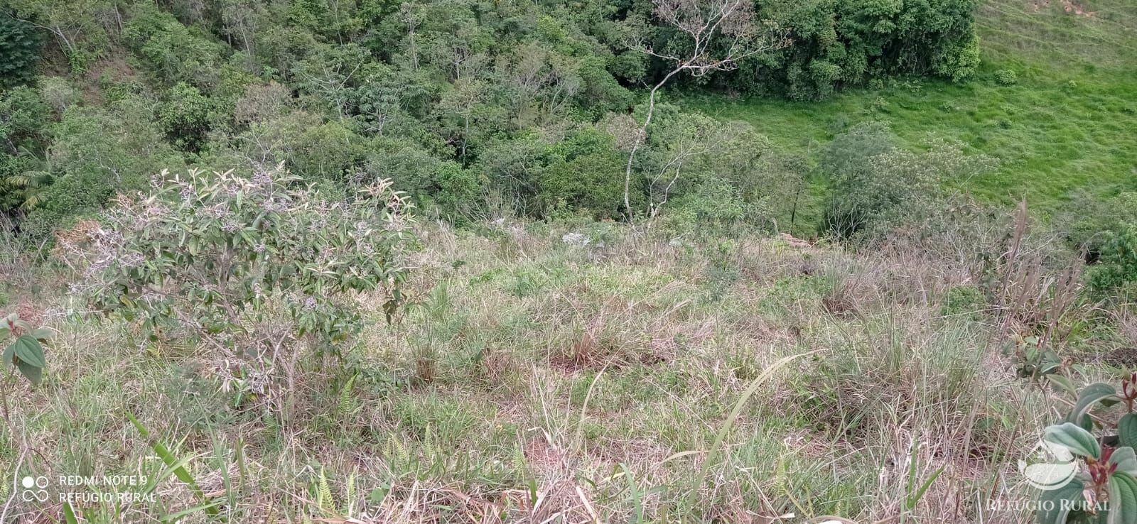 Sítio de 14 ha em Monteiro Lobato, SP