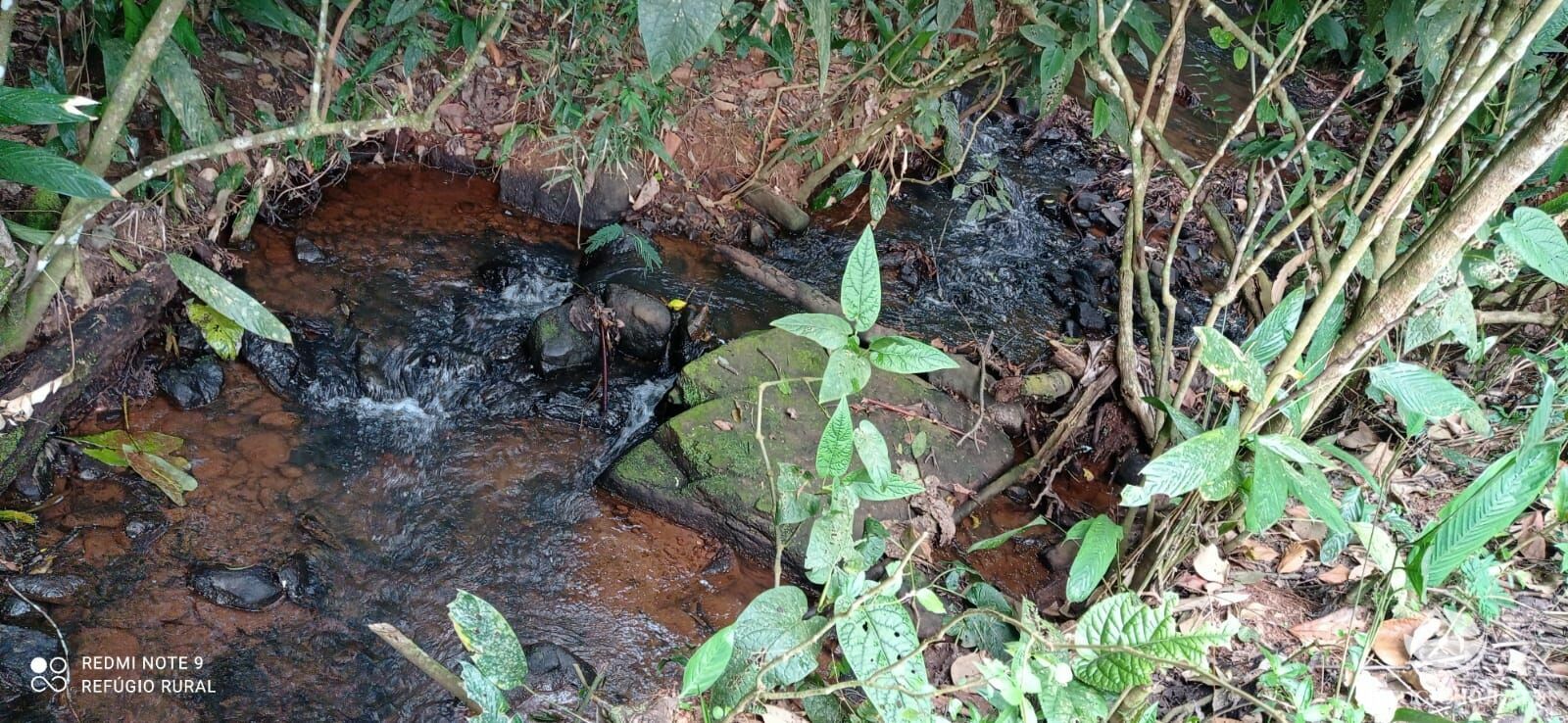 Sítio de 14 ha em Monteiro Lobato, SP