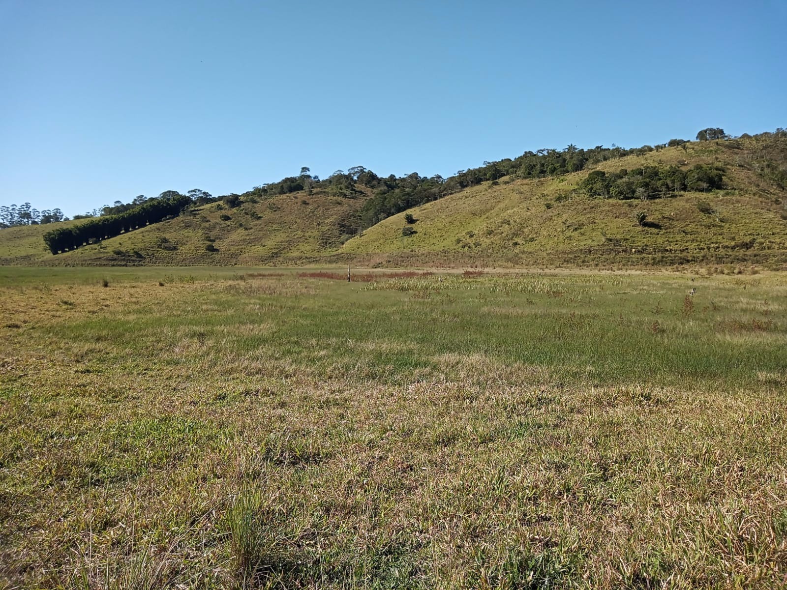 Sítio de 97 ha em Paraibuna, SP