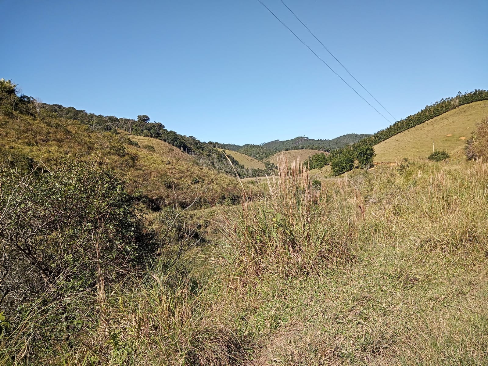 Sítio de 97 ha em Paraibuna, SP