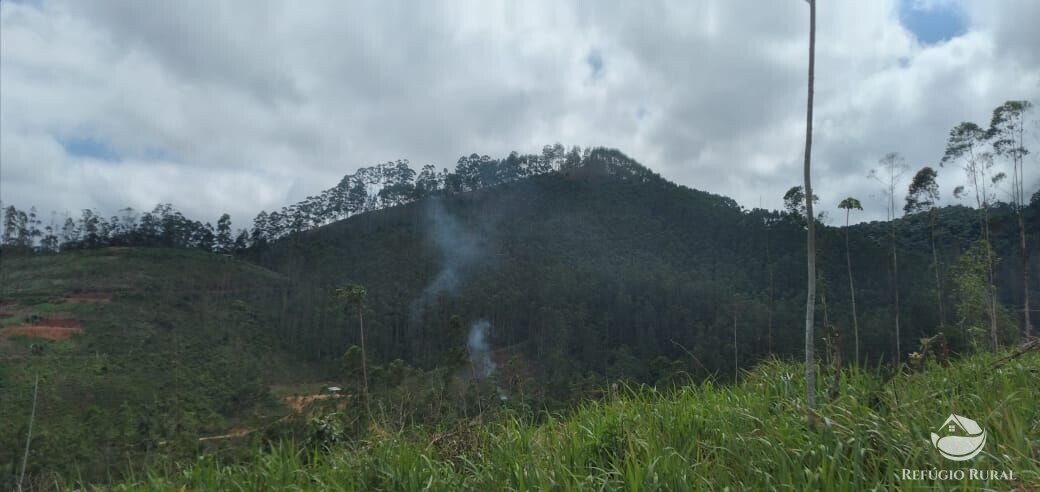 Terreno de 2 ha em Monteiro Lobato, SP