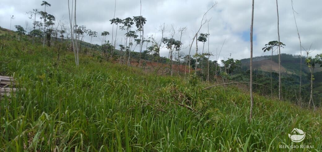 Terreno de 2 ha em Monteiro Lobato, SP