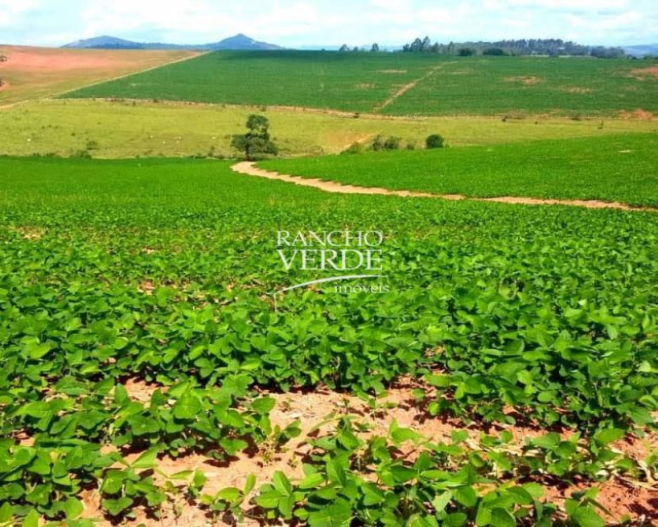 Fazenda de 399 ha em Careaçu, MG