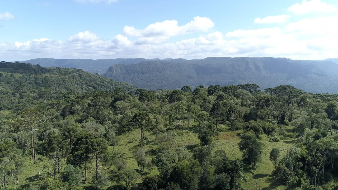 Sítio de 20 ha em Urubici, SC