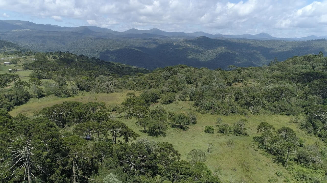 Sítio de 20 ha em Urubici, SC