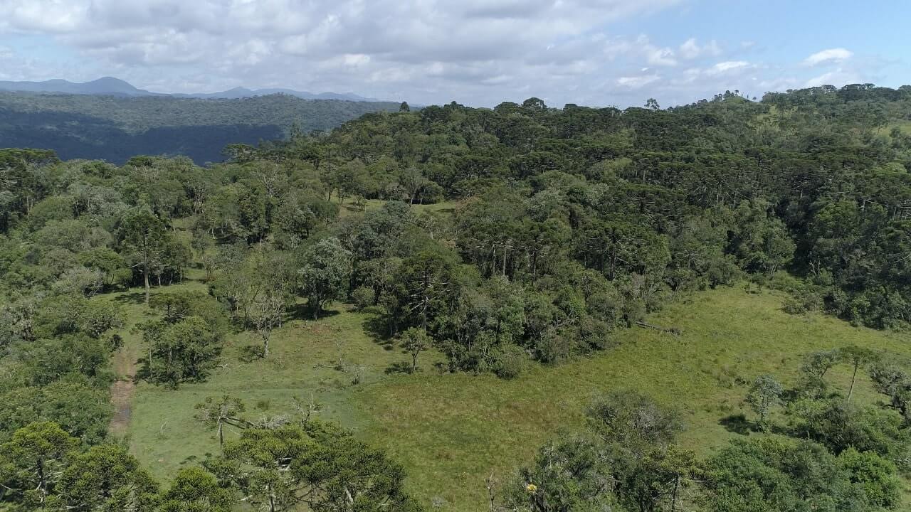 Sítio de 20 ha em Urubici, SC