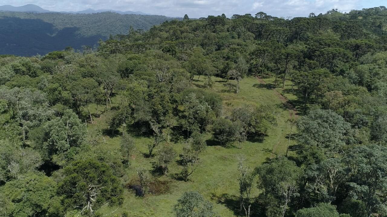 Sítio de 20 ha em Urubici, SC