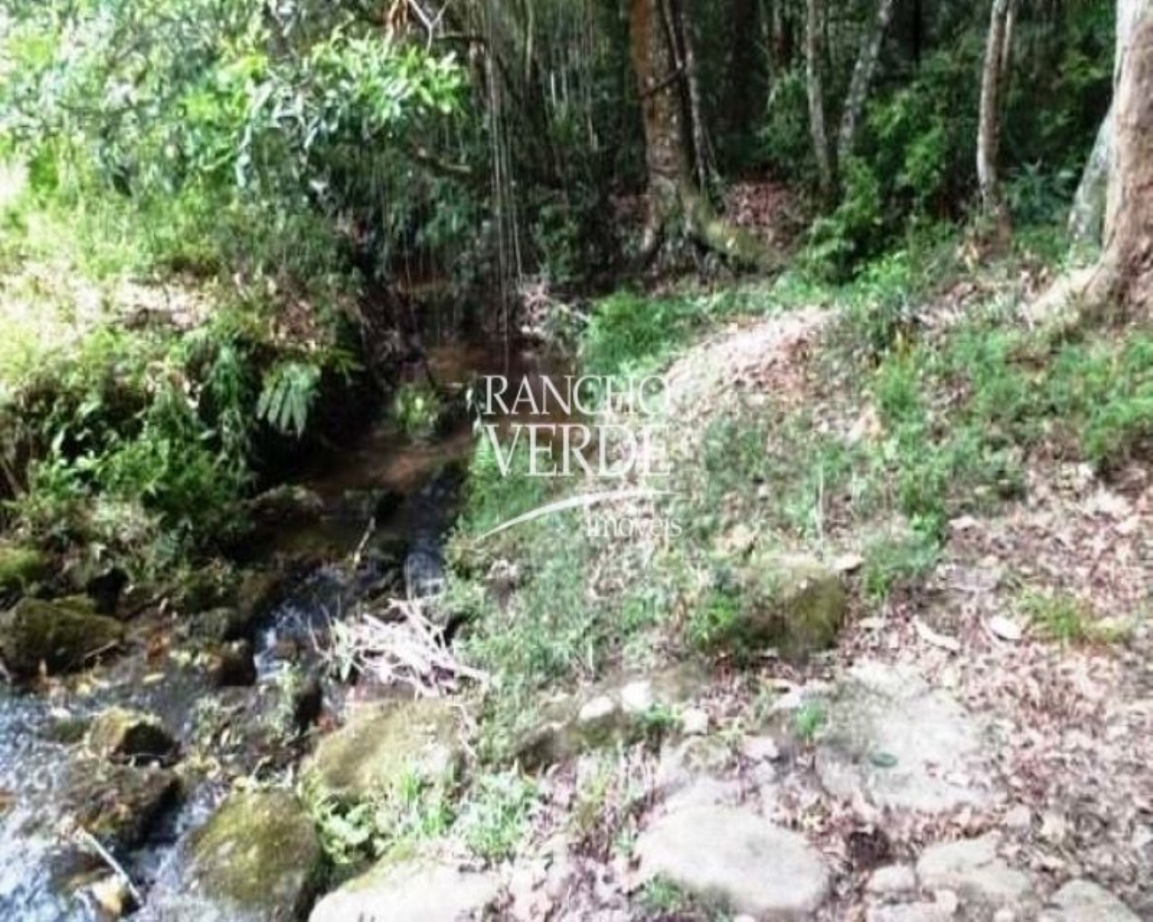 Fazenda de 370 ha em Resende Costa, MG