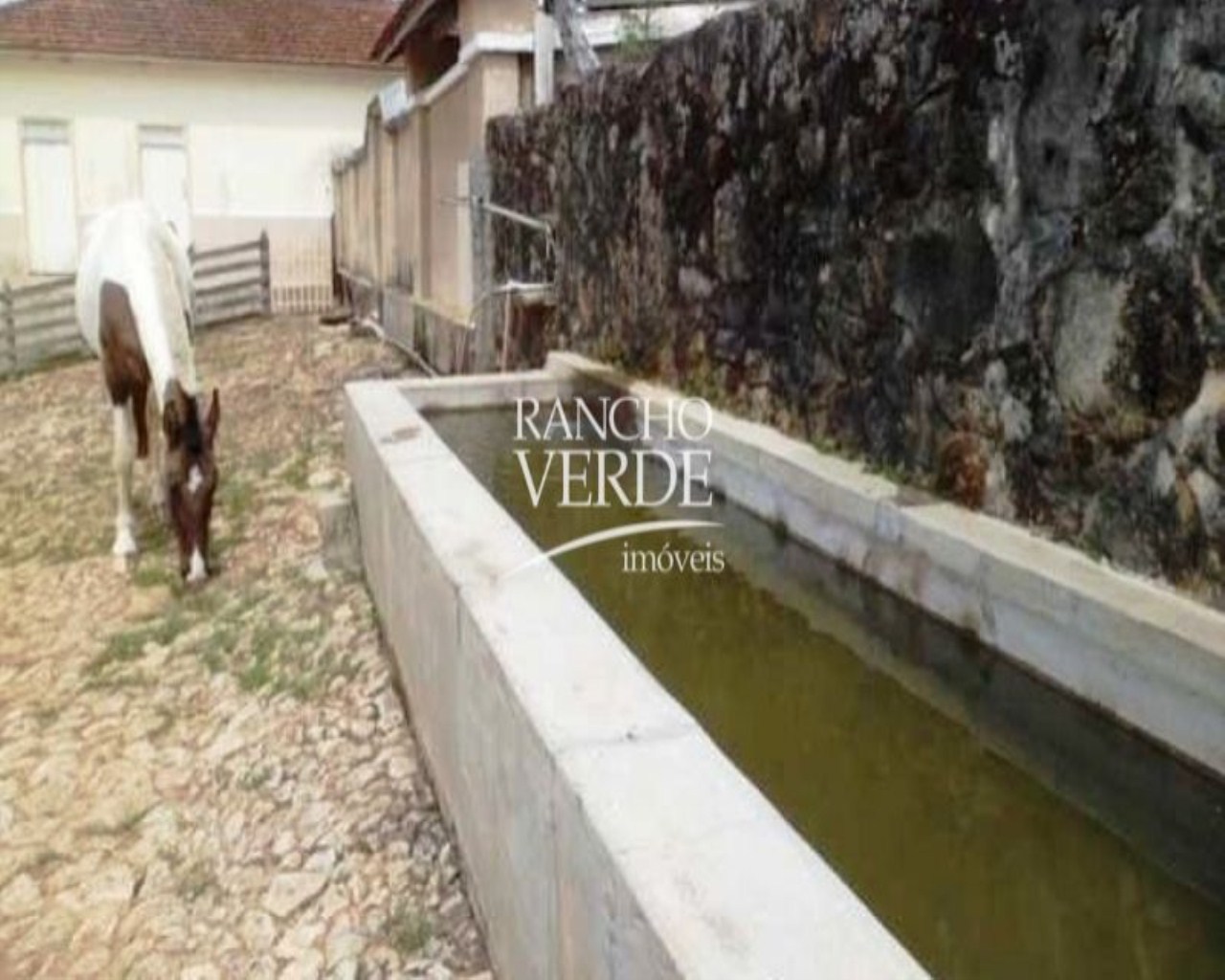 Fazenda de 370 ha em Resende Costa, MG