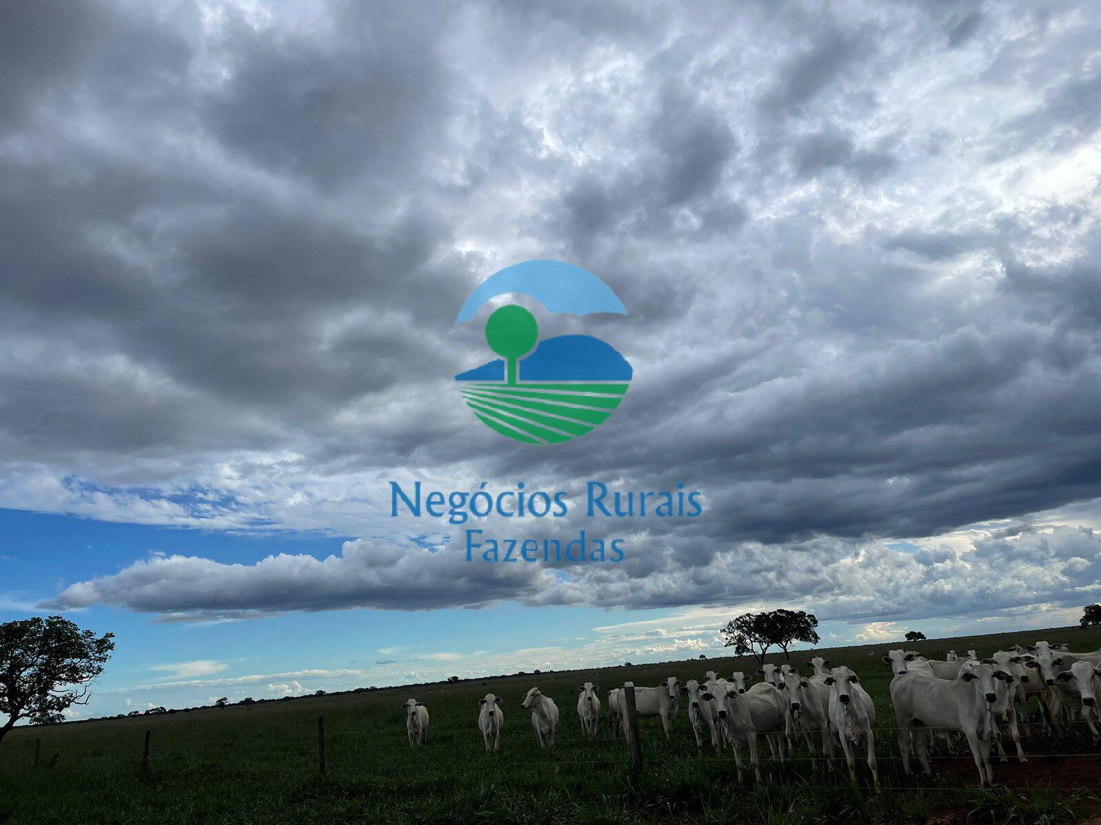 Fazenda de 10.930 ha em Uruaçu, GO