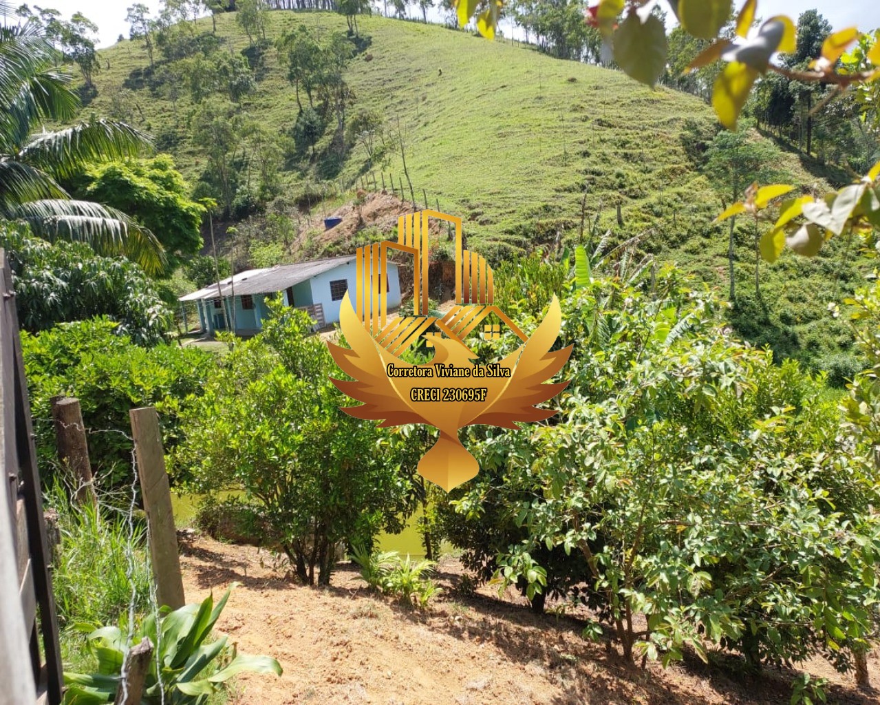 Sítio de 5 ha em Natividade da Serra, SP