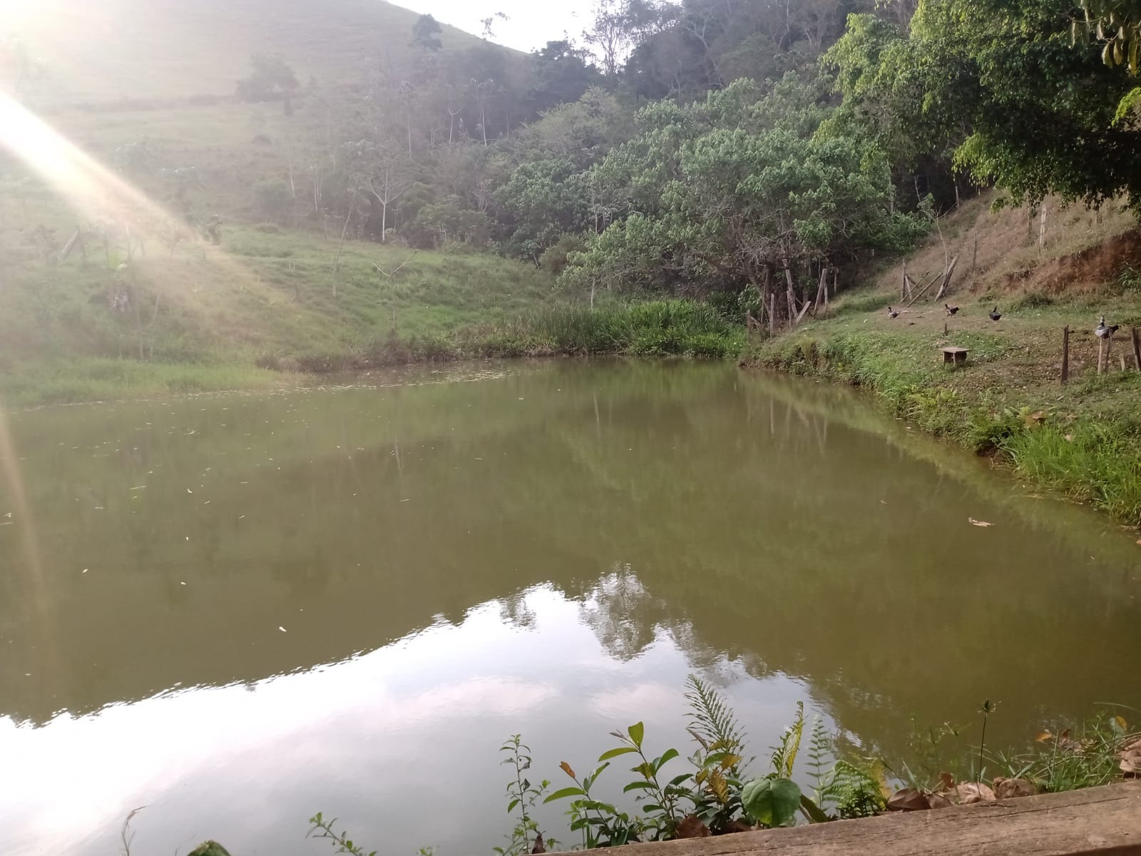 Sítio de 2 ha em São José dos Campos, SP