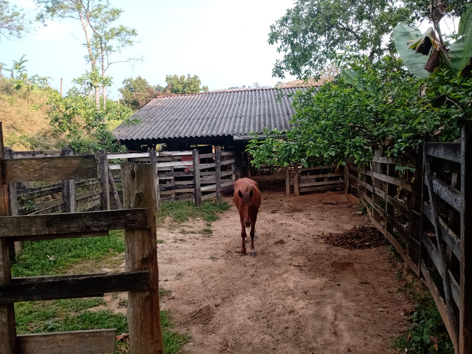 Sítio de 2 ha em São José dos Campos, SP