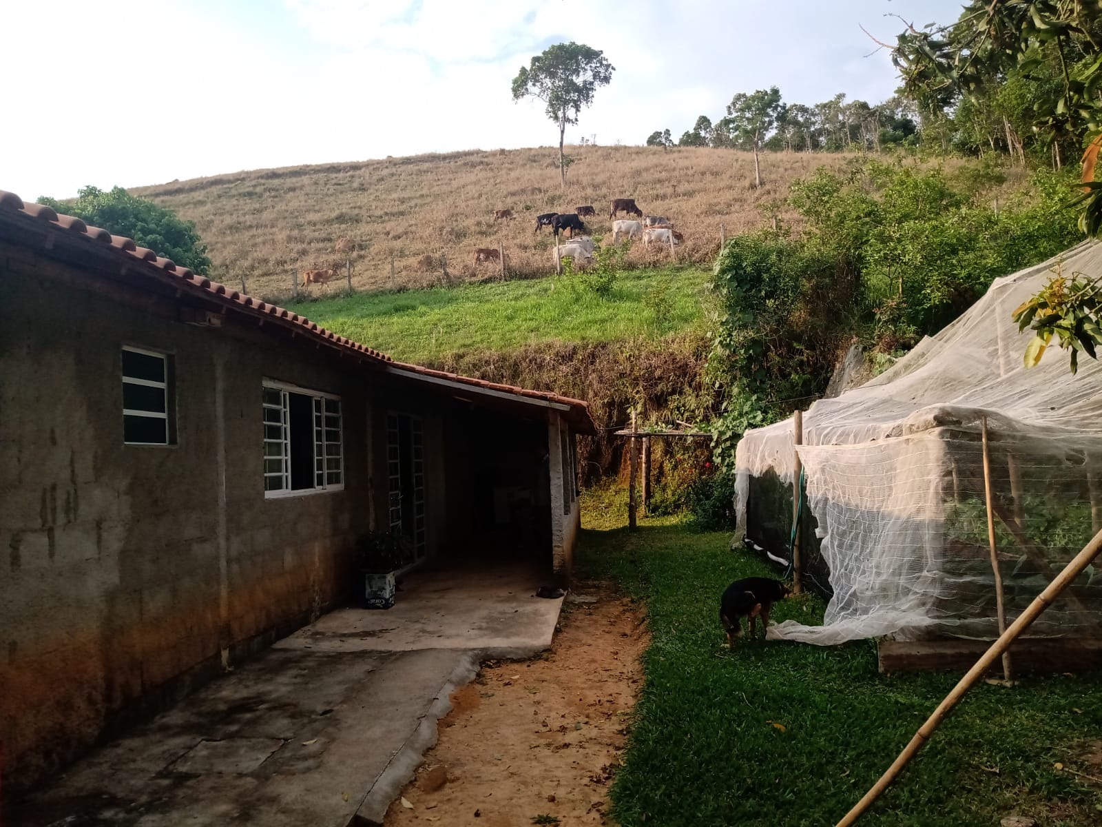 Sítio de 2 ha em São José dos Campos, SP