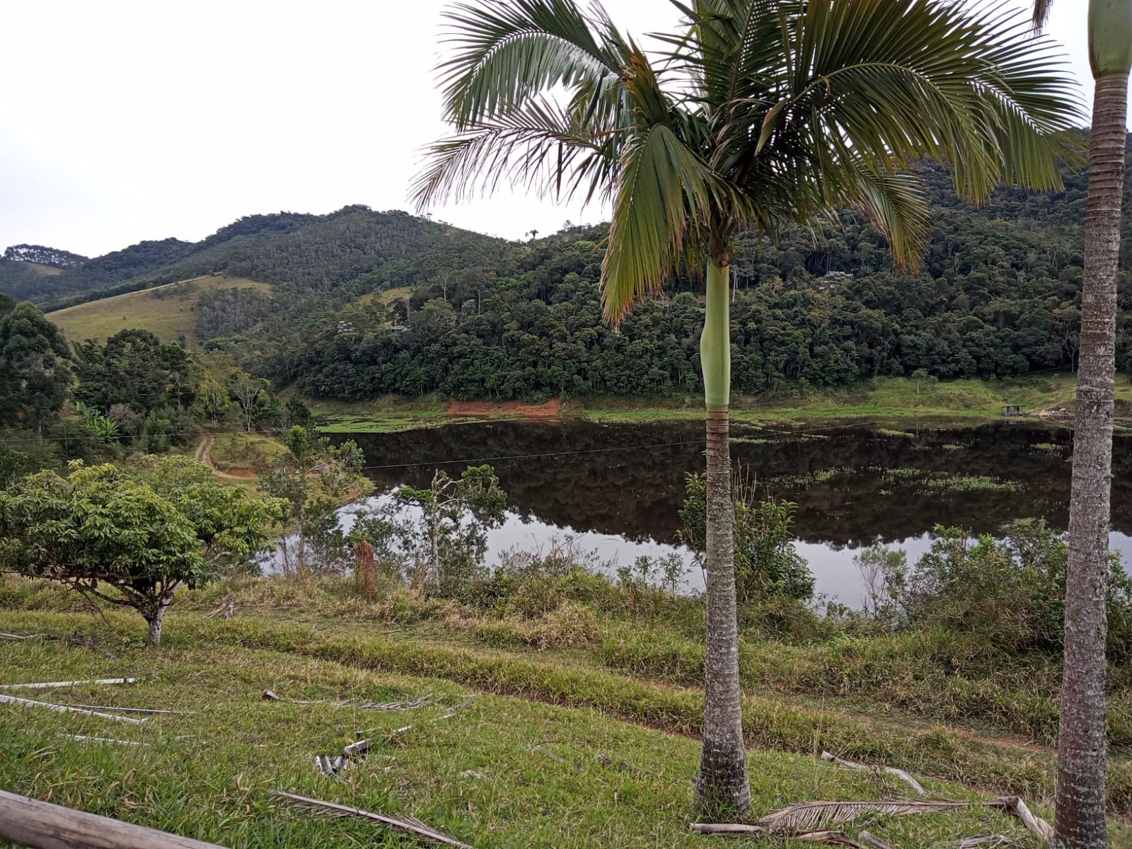 Sítio de 4 ha em Paraibuna, SP