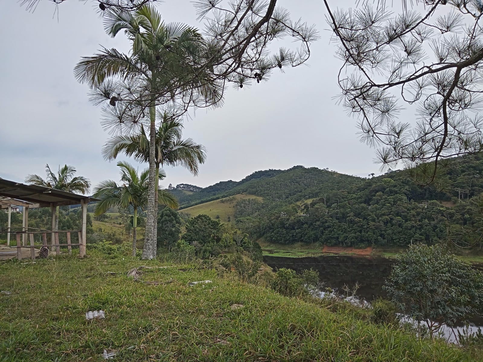 Sítio de 4 ha em Paraibuna, SP