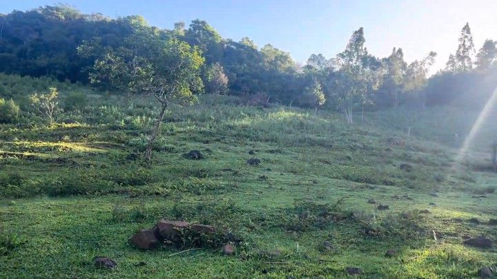 Chácara de 4 ha em Rolante, RS