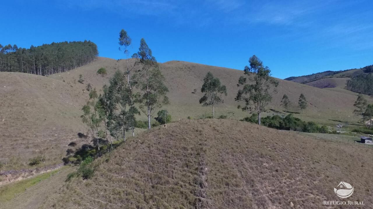 Fazenda de 83 ha em Caçapava, SP