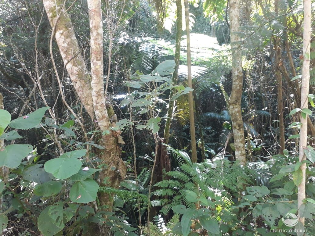 Sítio de 70 ha em São José dos Campos, SP